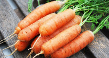как вырастить хорошую морковь